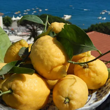 Hotel Albergo Pensione Riviera 3*